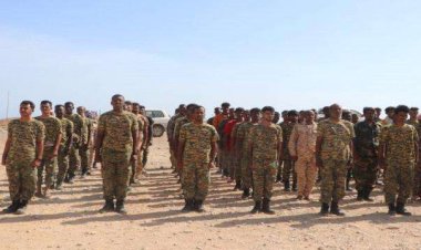 تشكيل كتيبة شرطة عسكرية من قوات الحزام الأمني لضبط الأمن وتنفيذ قرار منع دخول “القات” إلى سقطرى