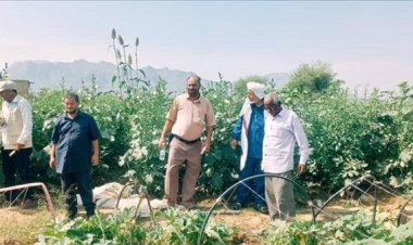 مأمور مديرية الضالع ومدير مكتب الزراعة يتفقدان مزارعي حجر وجمعيتهم الزراعية