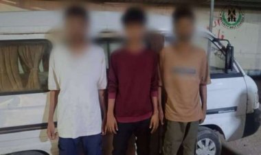 القبض على عصابة تقطع وسرقة في المنصورة