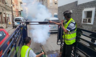 بدء حملة رش ضبابي لمكافحة الحشرات الناقلة للأمراض والأوبئة بمديرية صيرة