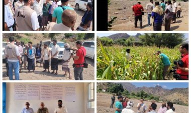 المغربي يستقبل وفد الصندوق الدولي للتنمية الزراعية"IFAD" ورئيس الصندوق الاجتماعي بعدن