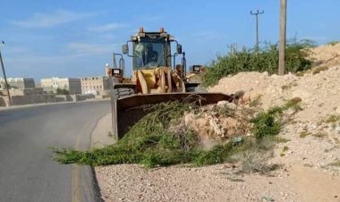 حملة لإزالة أشجار السيسبان من الطريق الدولي الغيضة – الأنفاق بتمويل من السلطة المحلية.