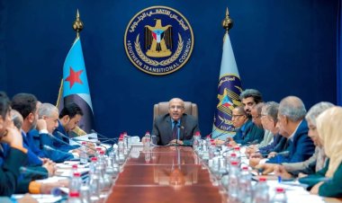 هيئة الرئاسة تستعرض مهام فرق النزول الميداني لتقييم العمل التنظيمي للمجلس والوقوف على احتياجات المواطنين