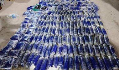 المهرة: جمارك منفذ شحن تضبط 200 كيلوغرام من الحشيش المخدر.