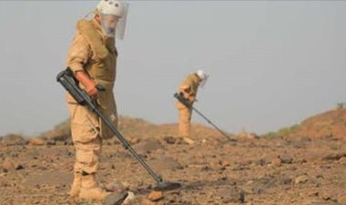 مسام يعلن انتزاع 840 لغما في مختلف المحافظات