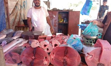 مكتب الصناعة والتجارة بالضالع ينفذ نزولات إلى أسواق المديرية