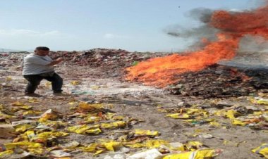 جمرك المنطقة الحرة بعدن تؤكد تشديد الرقابة على جميع الشحنات الواردة