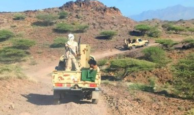 مدفعية القوات المسلحة الجنوبية تدمر آليات ومواقع عدة تابعة لمليشيات الحوثي بجبهتي كرش والقرين الحدوديتين