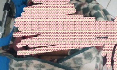 أمن حالمين يكشف هوية قاتل مواطن خلال أقل من 48 ساعة من الجريمة