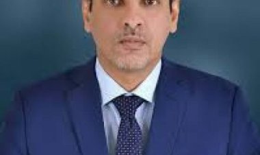 باكريت: لا بد من السيطرة على إيرادات المحافظات الجنوبية