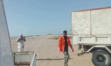 صندوق النظافة والتحسين بالمهرة ينفذ حملة لمكافحة الكلاب الضالة في سيحوت والمسيلة.