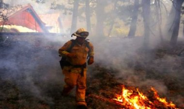 ارتفاع حصيلة ضحايا حرائق الغابات في كاليفورنيا لـ29 شخصًا