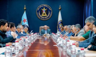 هيئة الرئاسة تؤكد ضرورة عودة مجلس القيادة والحكومة للعمل من العاصمة عدن