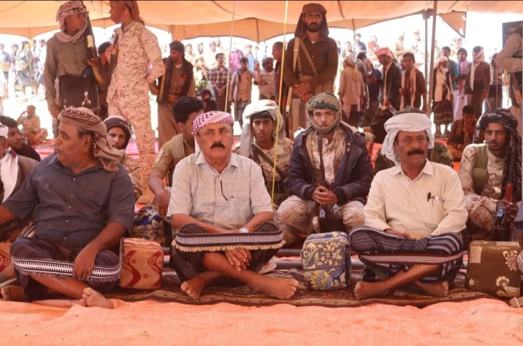 رئيس تنفيذية انتقالي شبوة ينجح في إنهاء قضية آل قشعور بمديرية رضوم