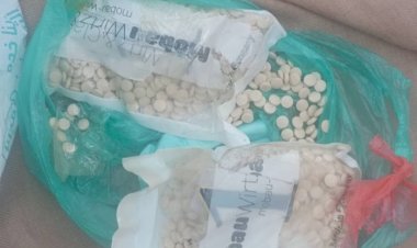 دورية أمنية بمديرية تريم تضبط مروجيين بحوزتهم أكثر من 1700 حبة مخدرة