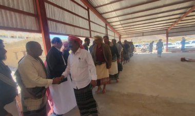 شبوة.. الشيخ لحمر ينجح في حل نزاع قبلي بمديرية جردان