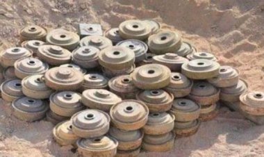 مسام يعلن انتزاع 536 لغمًا خلال أسبوع