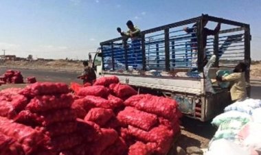 غياب التخطيط الزراعي يتسبب في خسائر فادحة لمزارعي لحج