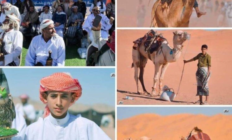 اختتام فعاليات مهرجان الفروسية والهجن في عسيلان شبوة