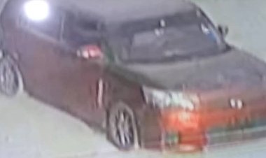 مركز شرطة فوة التابع لادارة أمن مديرية المكلا يلقي القبض على شخص قام بسرقة مجموعة من الاغنام من احياء منطقة فوة.