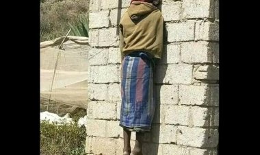 العثور على عامل في مزرعة قات مشنوقاً بالضالع