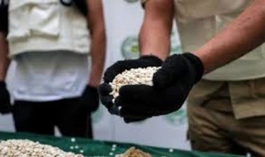 العراق يحبط تهريب حبوب الكبتاغون قادمة من سوريا