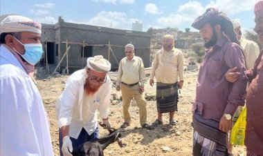 لحج.. تدشين حملة لقاحات للماشية في طور الباحة