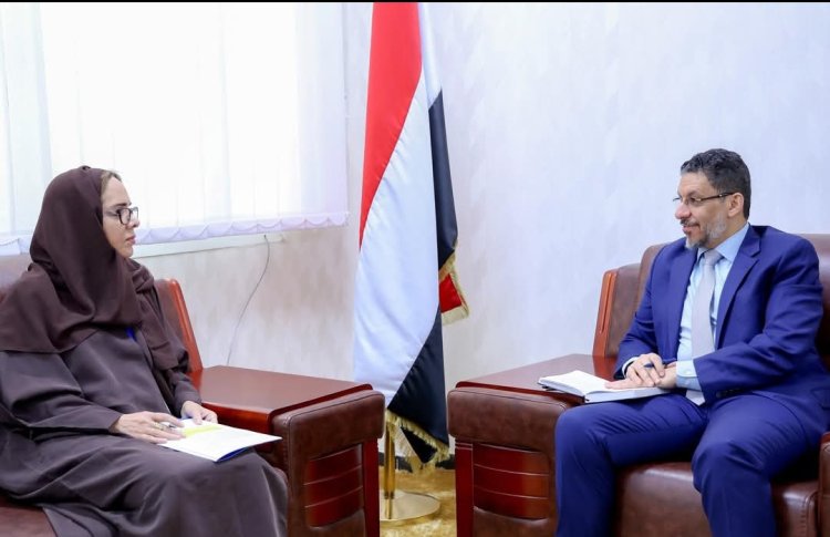 رئيس الوزراء يستقبل نائبة الممثل المقيم للأمم المتحدة في اليمن