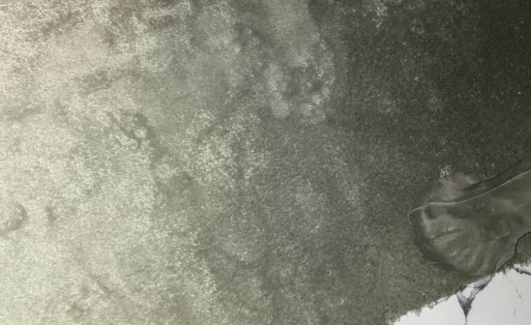 الأجهزة الأمنية بمديرية دوعن تلقي القبض على شخص قام بمحاولة سرقة منزل