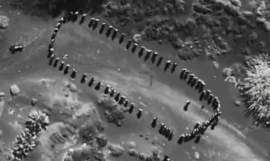 إيران تنفي مقتل خبراء عسكريين لها في الغارات الأمريكية على اليمن