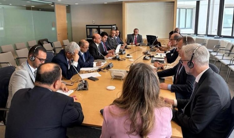 وزير المالية ومحافظ البنك المركزي يلتقيان مدير إدارة الشرق الأوسط وآسيا الوسطى بصندوق النقد الدولي