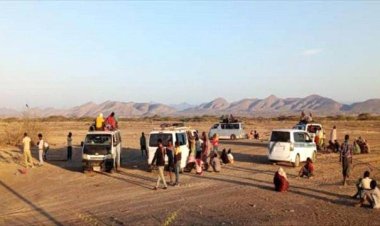 الحزام الأمني بأبين يُحبط تهريب لاجئين أفارقة إلى مناطق سيطرة مليشيا الحوثي