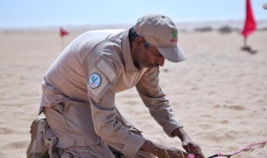 شبوة: مشروع مسام يتلف 600 لغم وعبوة ناسفة