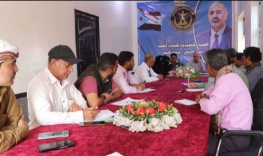 تنفيذية انتقالي الضالع تناقش عددًا من القضايا التنظيمية والخدمية بالمحافظة