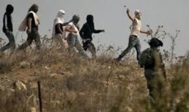 مستوطنون يهاجمون فلسطينيين جنوب الخليل