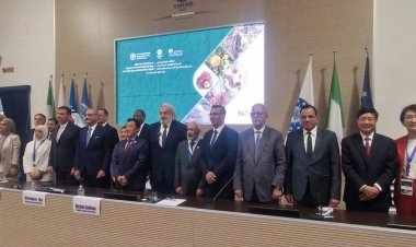 اليمن يشارك في مؤتمر دعم استراتيجية صحة النبات في إيطاليا