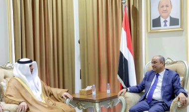 رئيس الوزراء يستقبل السفير الإماراتي لدى اليمن