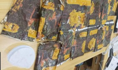 بعد ضبطها.. تسليم 13 كيلوجراما من الحشيش لأمن عدن