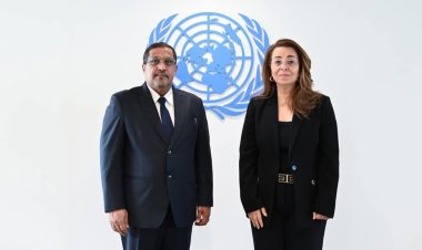 وزير العدل يبحث مع مكتب الأمم المتحدة في فيينا تحديث تشريعات مكافحة الجريمة وتعزيز سيادة القانون