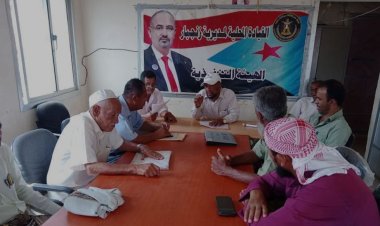 تنفيذية انتقالي زنجبار تناقش سبل تعزيز الأداء التنظيمي للهيئة