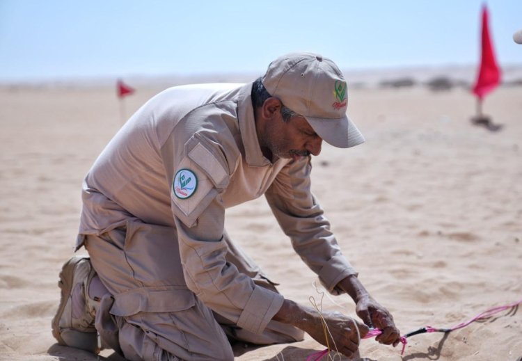 شبوة: مشروع مسام يتلف 600 لغم وعبوة ناسفة