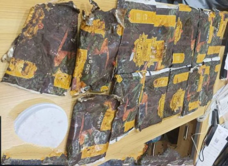 بعد ضبطها.. تسليم 13 كيلوجراما من الحشيش لأمن عدن