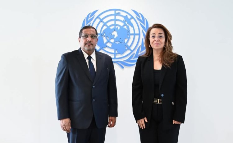 وزير العدل يبحث مع مكتب الأمم المتحدة في فيينا تحديث تشريعات مكافحة الجريمة وتعزيز سيادة القانون