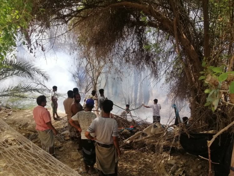 حريق يلتهم مزارع في الديس الشرقية والسلطة المحلية تطالب بدعم عاجل للإطفاء