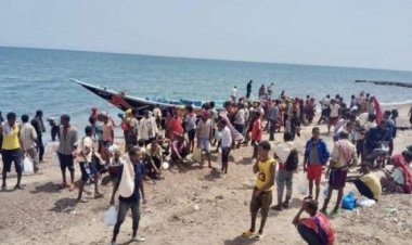 ضبط 170 مهاجرا غير شرعي في سواحل شبوة