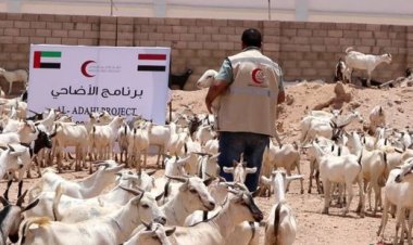 يستهدف 1612 أسرة.. هلال الإمارات يدشن برنامج الأضاحي في شبوة