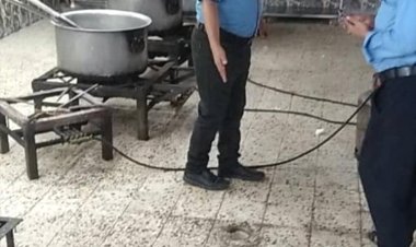 استمرار حملة الرقابة على مطاعم وكافتيريات المعلا