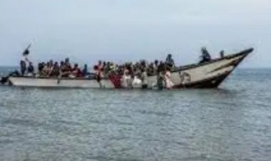 شرطة شبوة تعلن ضبط 150 مهاجرا أفريقيا