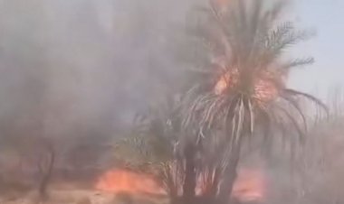 حريق يلتهم عشرات النخيل والأشجار في صيف بدوعن وجهود الأهالي تسيطر على الوضع