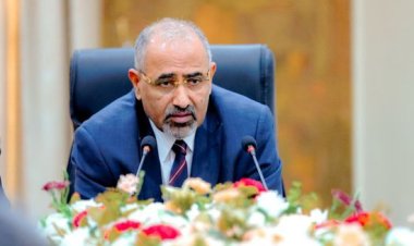 لقاءات الجنوب مع المجتمع الدولي.. مفاتيح استعادة الدولة وممرات تأمين الخدمات